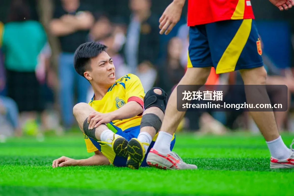 龙珠直播王者荣耀职业杯赛